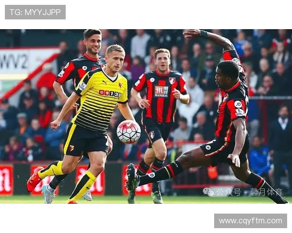 英超球队伯恩茅斯近期表现稳健，竞争力持续提升