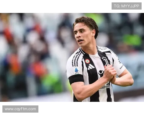 伊尔迪兹技术解析