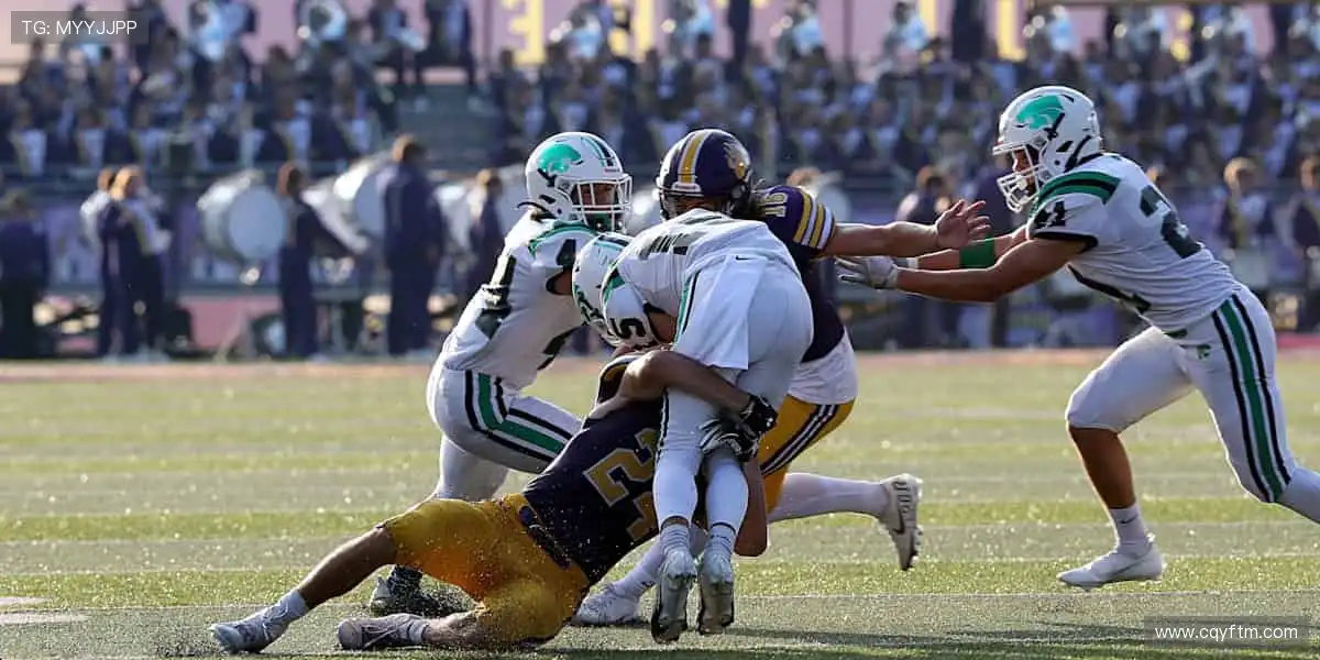 🎧赛事解说，声临其境！大咖解读，深度解析比赛战术🎙️